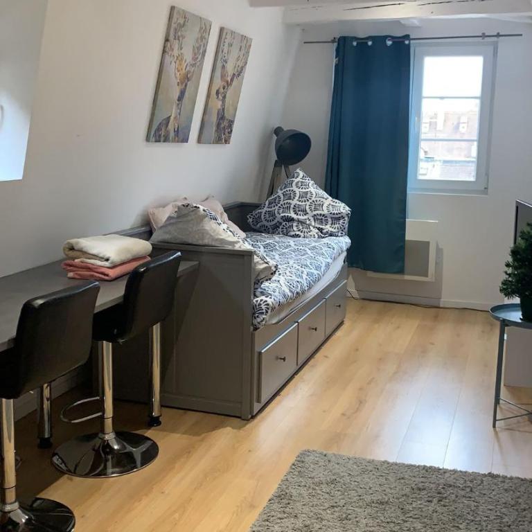 ** appartement cathédrale Strasbourg centre** - Apartamento de 1 dormitorio - 6