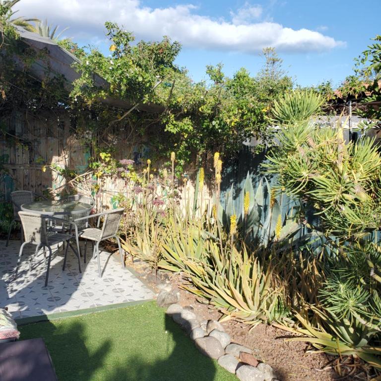 Très BEAU BUNGALOW,JARDIN TROPICAL, RENOVATION ETE 2020 - Casa con 1 dormitorio - 4