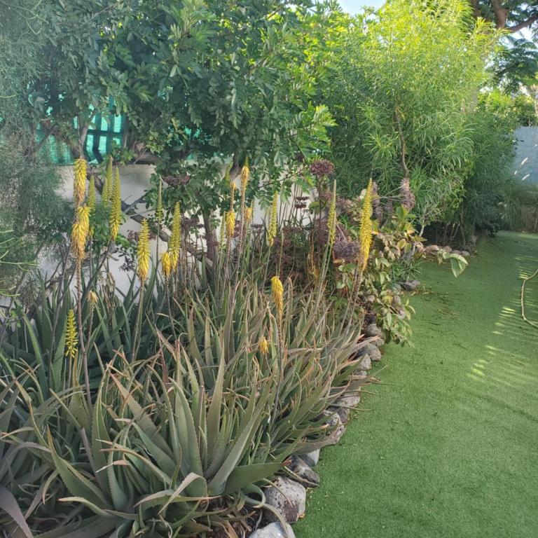 Très BEAU BUNGALOW,JARDIN TROPICAL, RENOVATION ETE 2020 - Casa con 1 dormitorio - 5