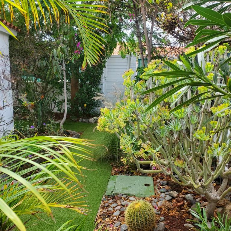 Très BEAU BUNGALOW,JARDIN TROPICAL, RENOVATION ETE 2020 - Casa con 1 dormitorio - 10