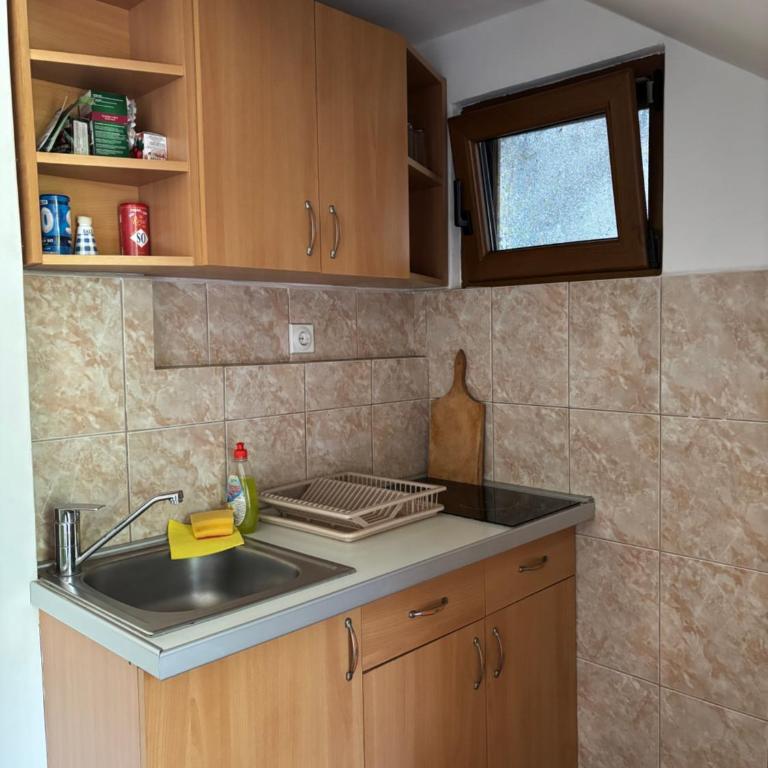 Vila Mila - Apartman sa 1 Spavaćom Sobom - 4