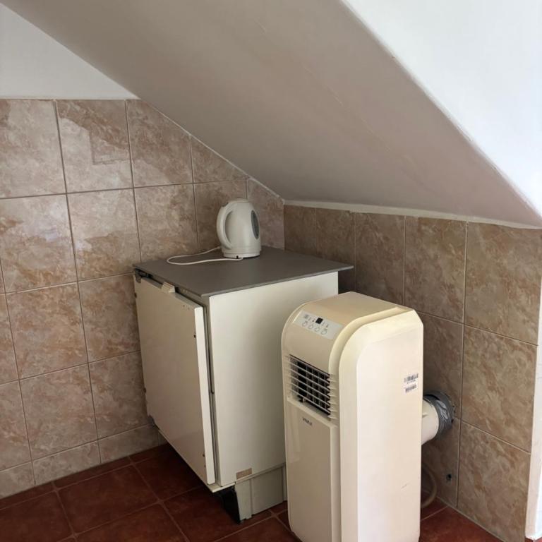 Vila Mila - Apartman sa 1 Spavaćom Sobom - 3