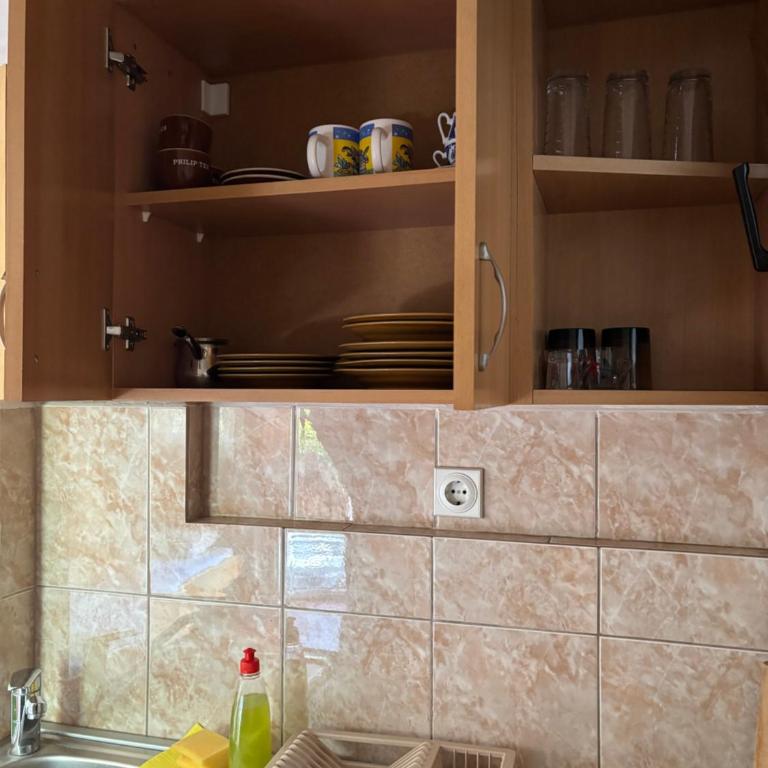 Vila Mila - Apartman sa 1 Spavaćom Sobom - 2