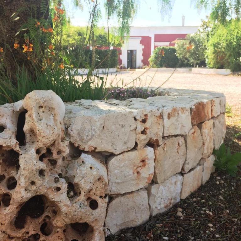 Dimora Antonella - Ostuni 4 seasons - Splendid Villa Depandance with Private Swimming Pool - Casa con 3 Camere da Letto - 27