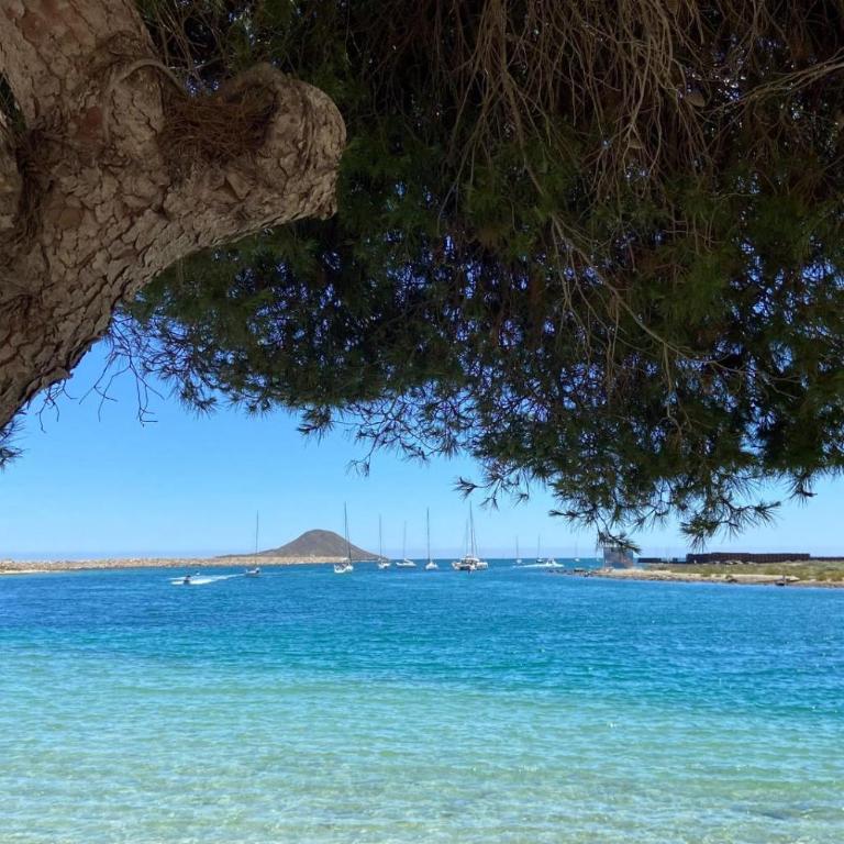 La Manga Caralmar Paraíso - Apartment mit 2 Schlafzimmern - 30