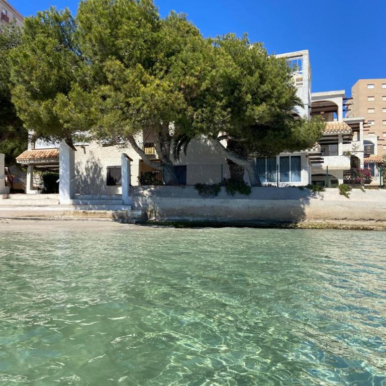 La Manga Caralmar Paraíso - Apartment mit 2 Schlafzimmern - 4
