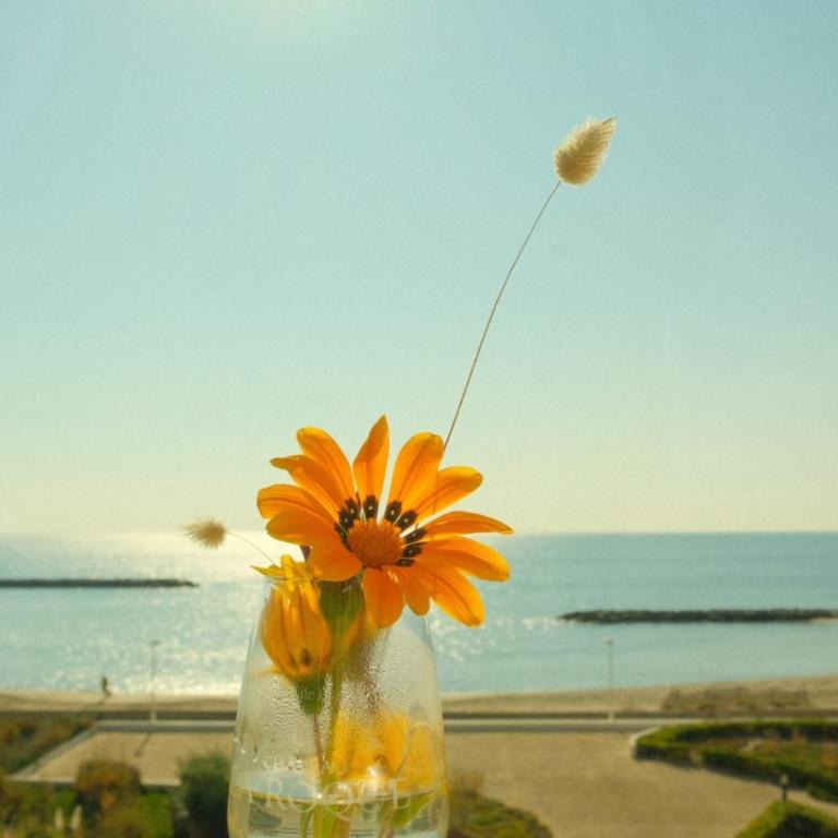 Studio plein sud le ciel le soleil et la mer - Appartement 1 Chambre - 3