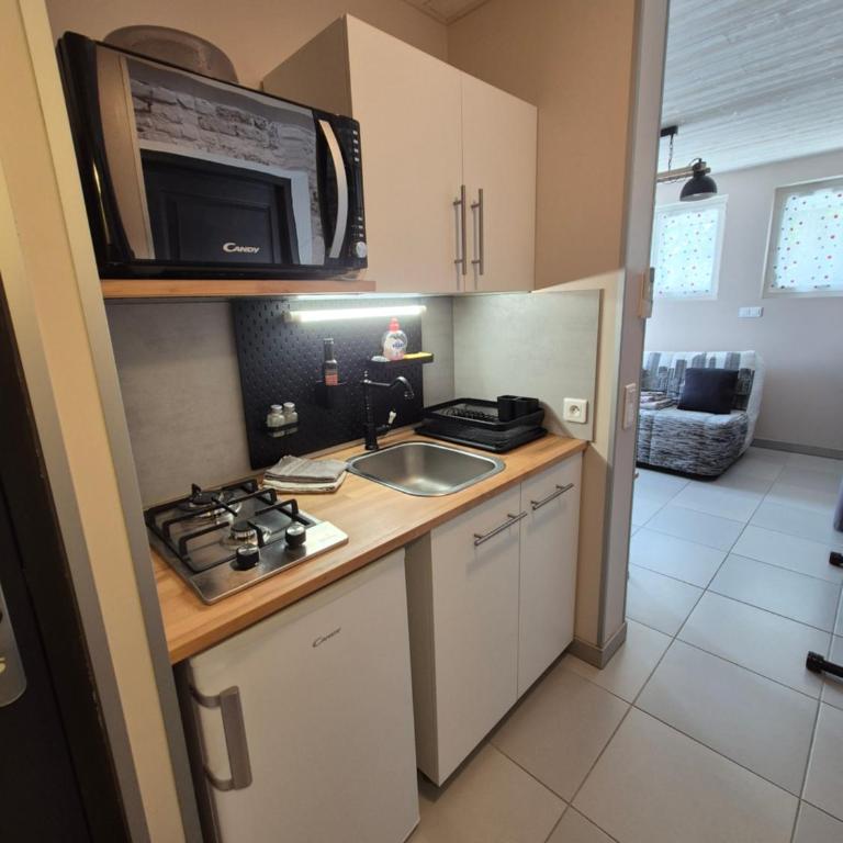 Charmant appartement indépendant Ty-Oustal - Appartement 1 Chambre - 5