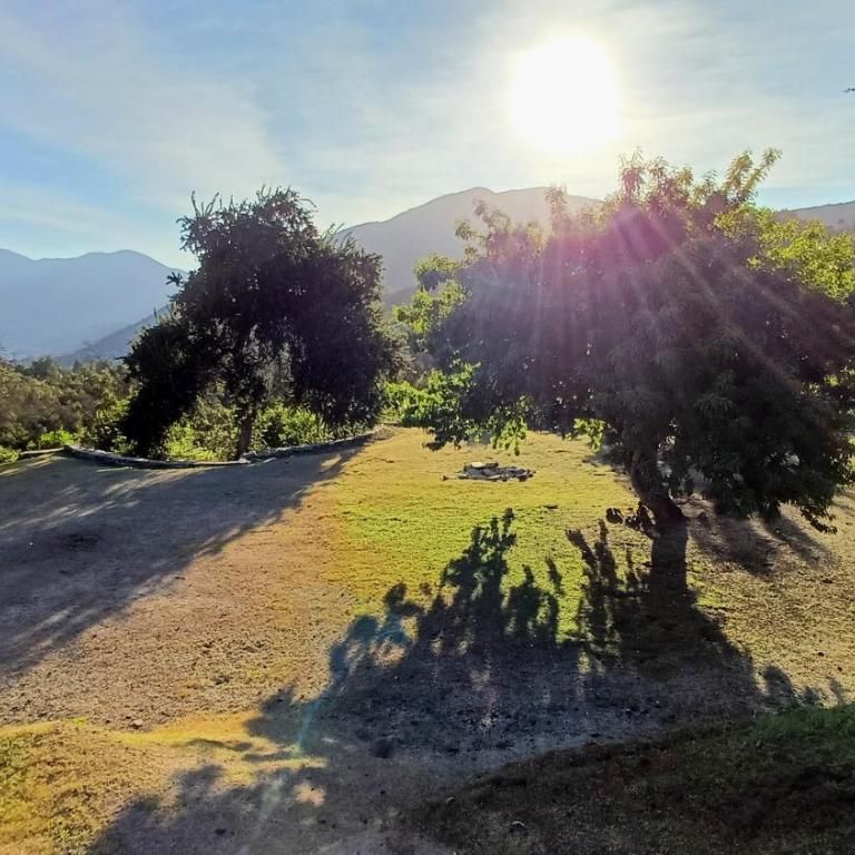 Las Palmas Lodge - Chalet de 2 dormitorios - 25