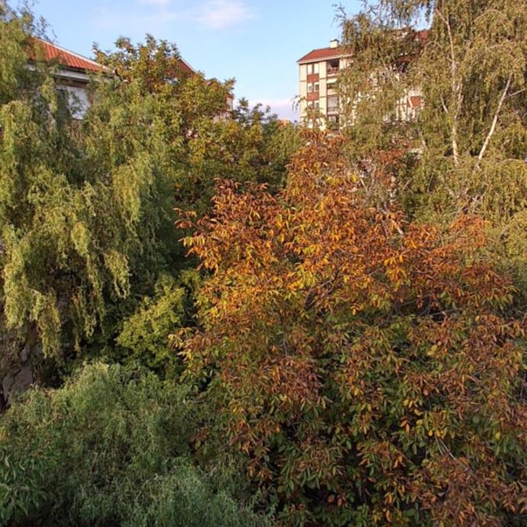 IVA Apartman - One-Bedroom Apartment - 18