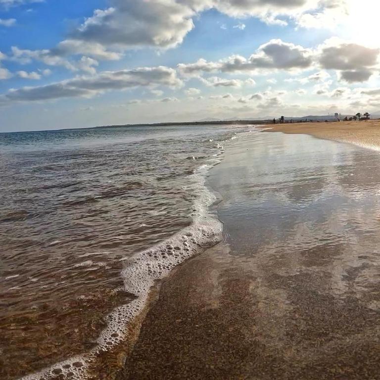 Apartamento, Arena, Primera linea Mar, sea views - One-Bedroom Apartment - 22