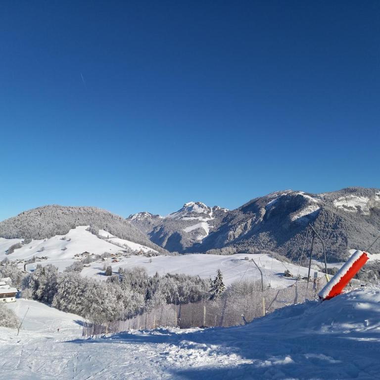 Charmant studio à la montagne - Appartement - 18