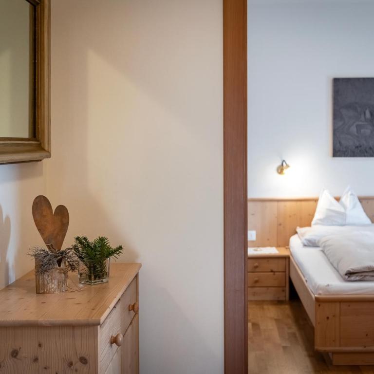 Schopplhof - panoramic apartments dolomites - Appartamento con Vista Montagna - 12