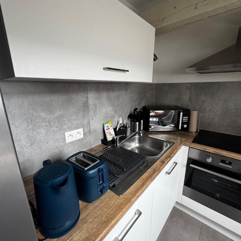 Appartement cosy au centre ville de Colmar - Appartamento con 2 Camere da Letto - 2