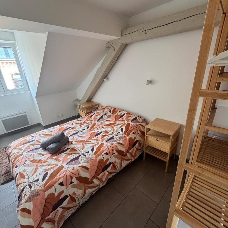Appartement cosy au centre ville de Colmar - Appartamento con 2 Camere da Letto - 4