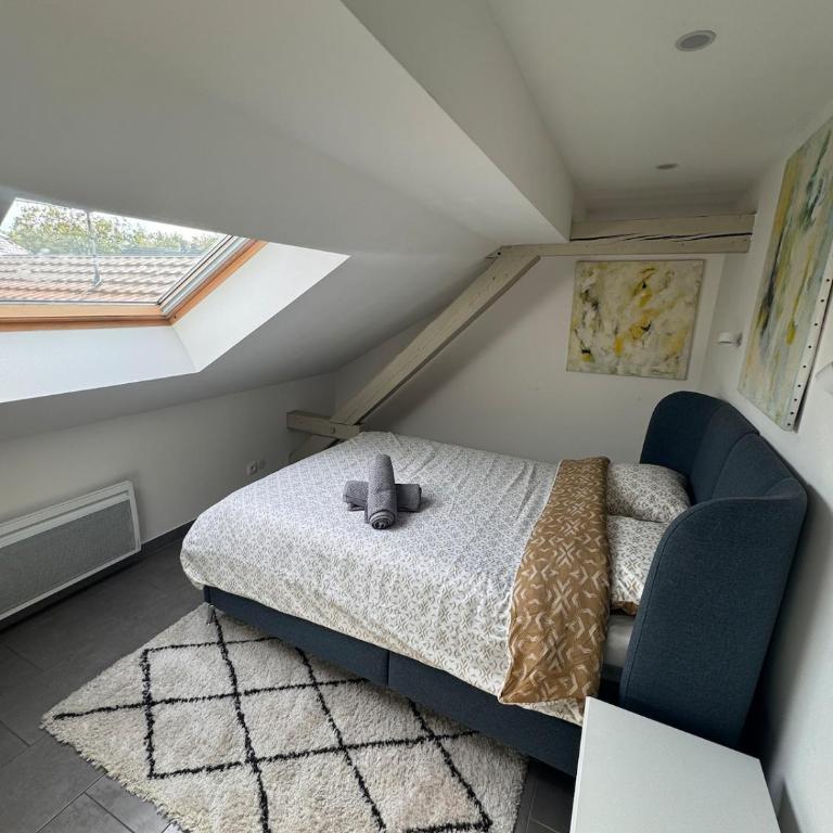 Appartement cosy au centre ville de Colmar - Appartamento con 2 Camere da Letto - 9