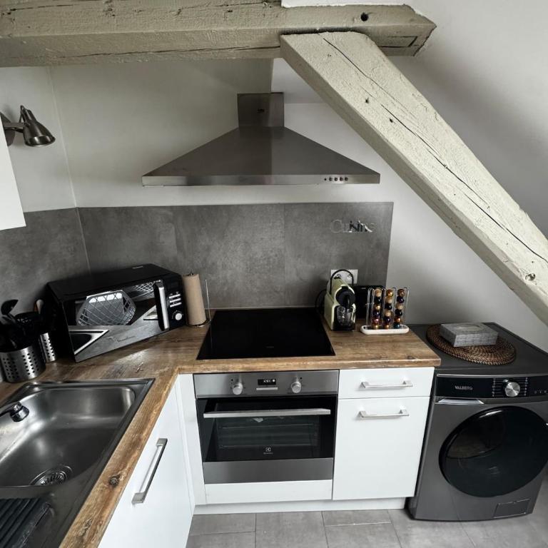 Appartement cosy au centre ville de Colmar - Appartamento con 2 Camere da Letto - 12