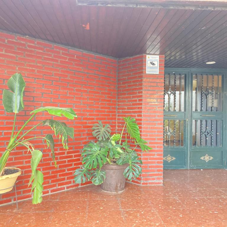 Great Hostels Apartments Carihuela - Apartamento de 1 dormitorio - 10