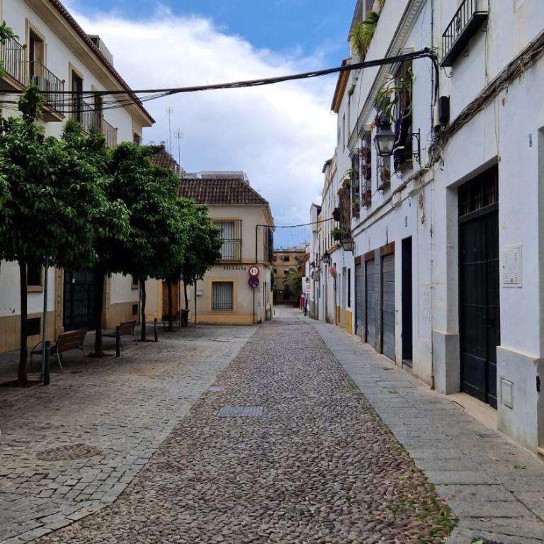 Azahar de Córdoba Apartment - Apartamento de 3 dormitorios - 20