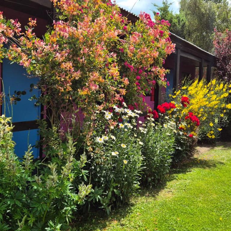 Lago Argentino Hostel - Habitación Triple con baño compartido - 1