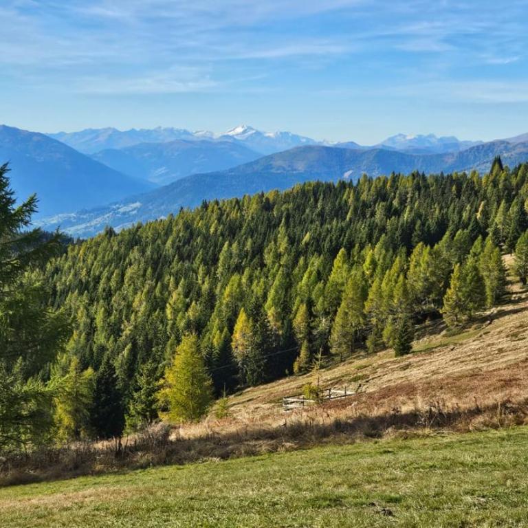 Zimmer mit Aussichthochzehn - Studio mit Bergblick - 22
