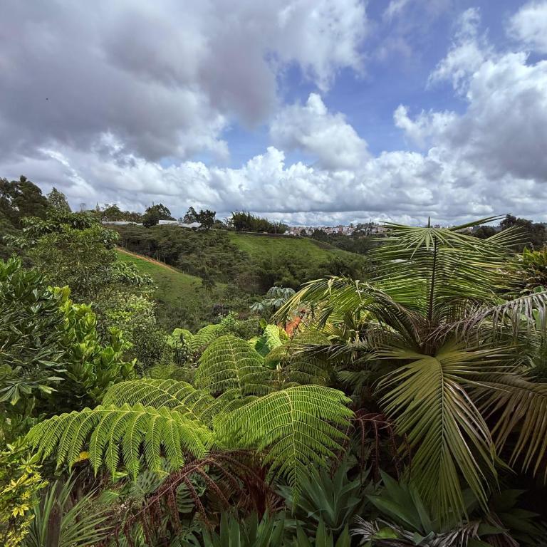 San José de las bromelias - Apartamento de 1 dormitorio - 40