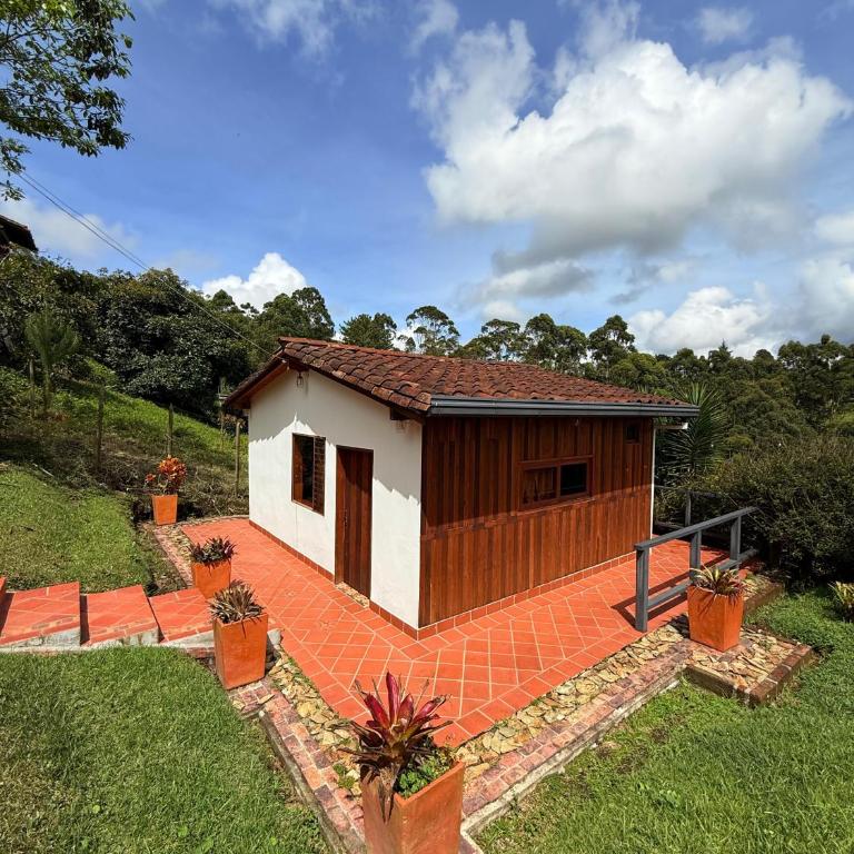 San José de las bromelias - Apartamento de 1 dormitorio - 2