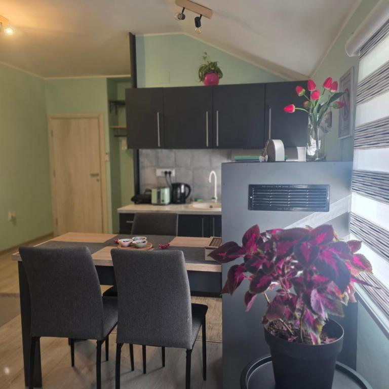Apartmani Novi Grad - Deluxe Double Studio - 31