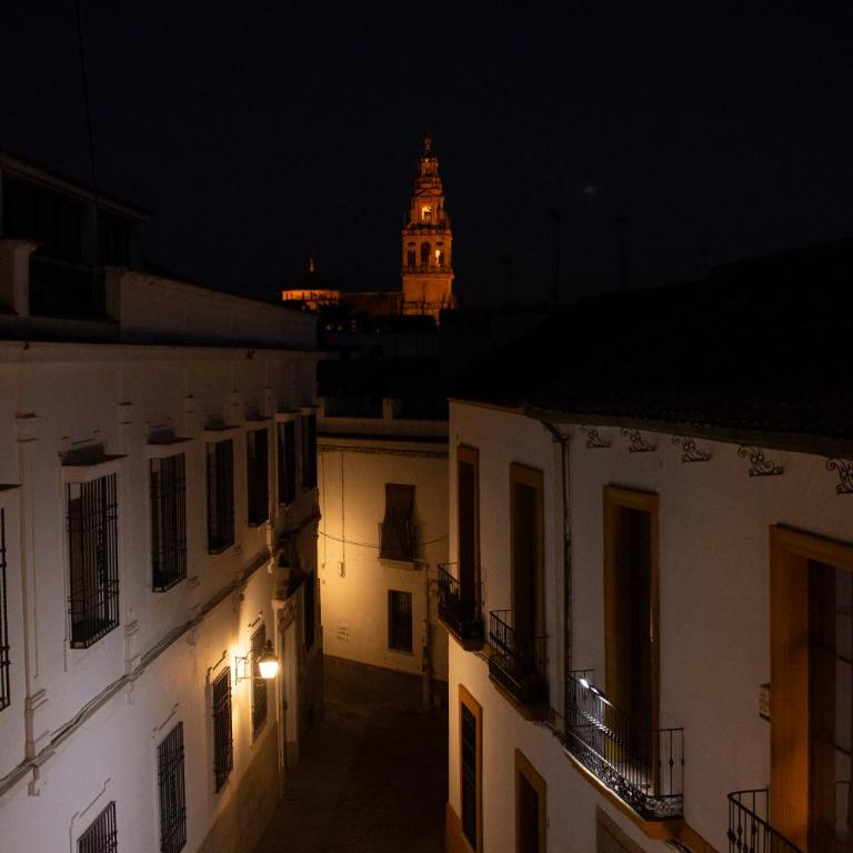 El Balcón de la Torre - Apartamento de 3 dormitorios - 12
