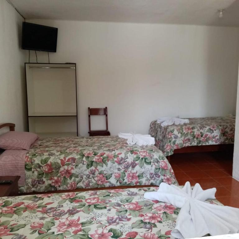 Hostal Nevada - Habitación Triple - 1