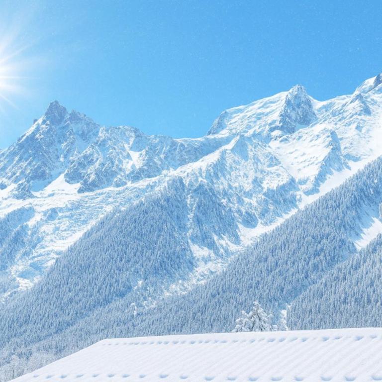 A lovely duplex with views of the Mont Blanc - Apartment - 4