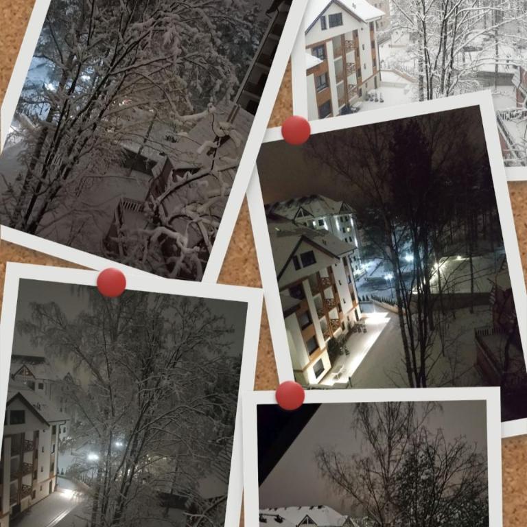 Pahulja - Apartman sa 1 Spavaćom Sobom - 11