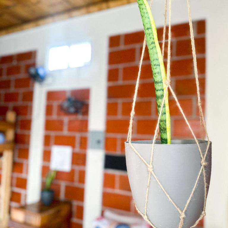 Free Spirit Ecuador, Puerto Engabao - Habitación Cuádruple con baño privado - 4