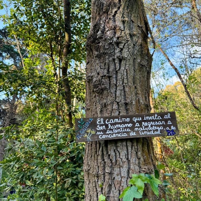 Cabañas Alquimia - Tu lugar de descanso - Casa de 2 dormitorios - 29