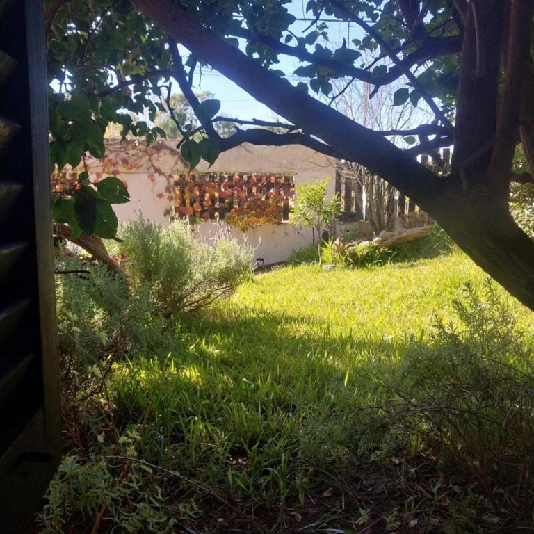Casa Mediterránea - Two-Bedroom House - 12