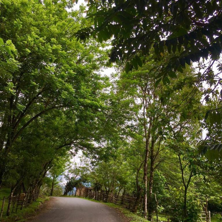 Cabaña en Alquiler en Cocorna - Casa con 1 dormitorio - 6