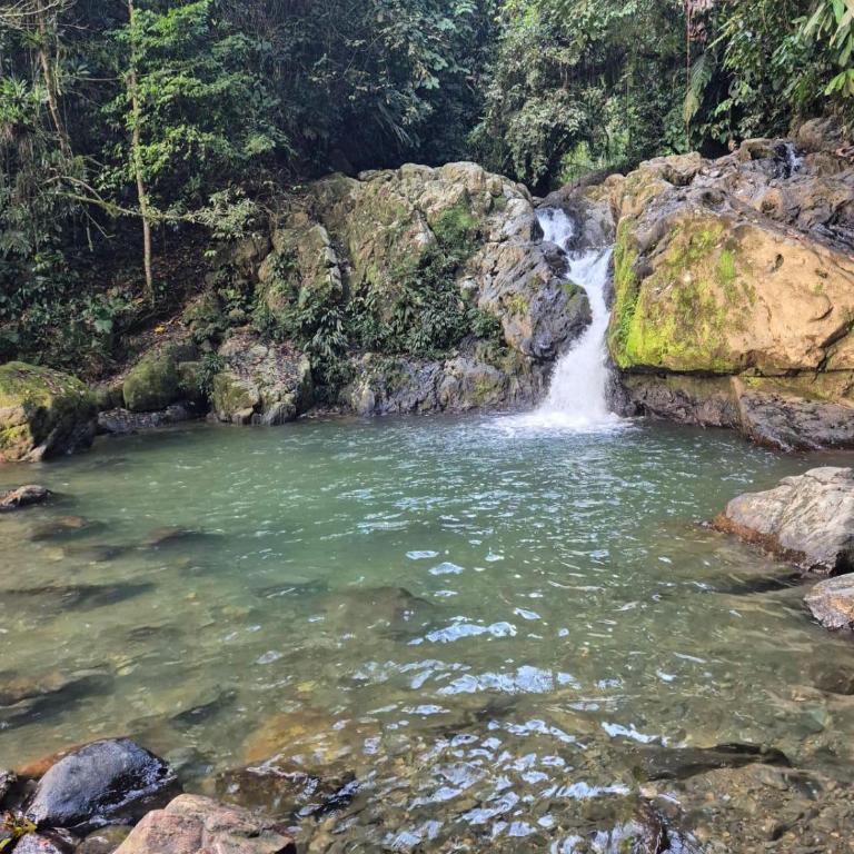 Cabaña en Alquiler en Cocorna - Casa con 1 dormitorio - 9