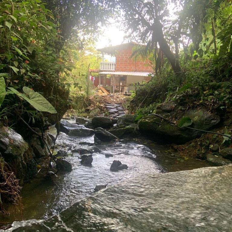 Cabaña en Alquiler en Cocorna - Casa con 1 dormitorio - 12