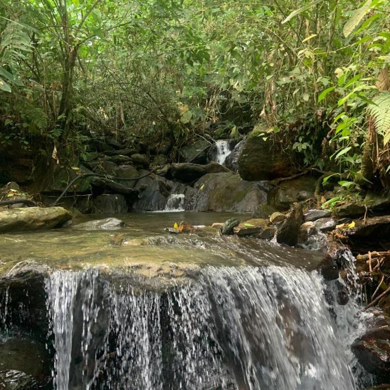 Cabaña en Alquiler en Cocorna - Casa con 1 dormitorio - 15