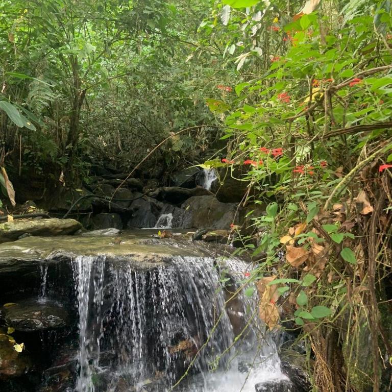 Cabaña en Alquiler en Cocorna - Casa con 1 dormitorio - 25