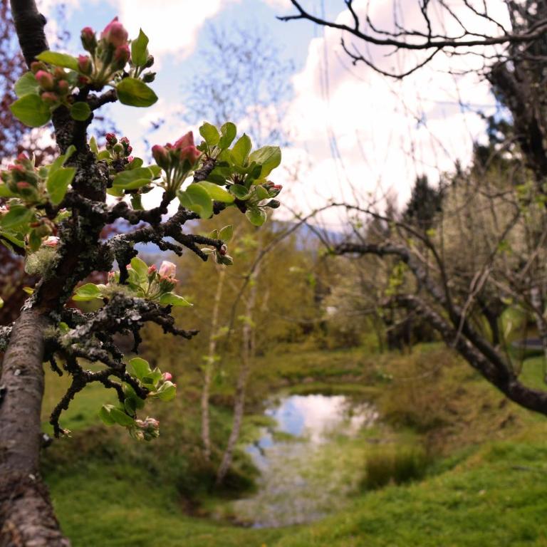 ChacraKremen - Habitación Compartida Mixta - 11