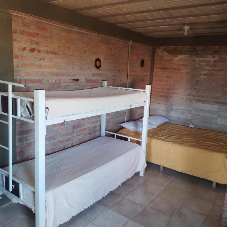 Mono - Apartamento de 1 dormitorio - 3