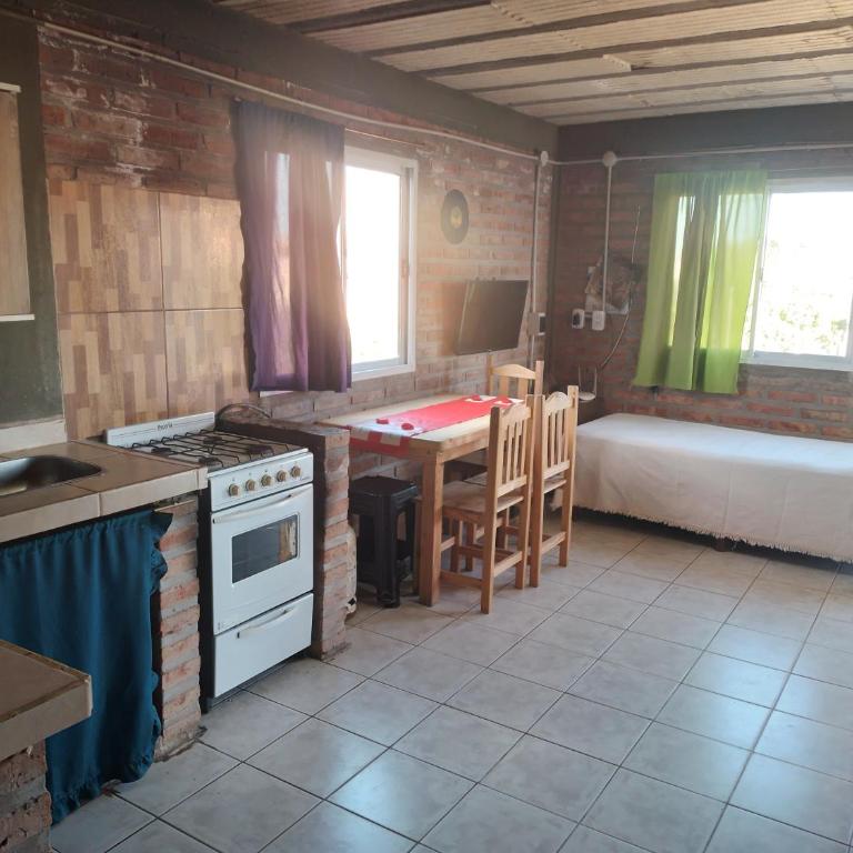 Mono - Apartamento de 1 dormitorio - 5