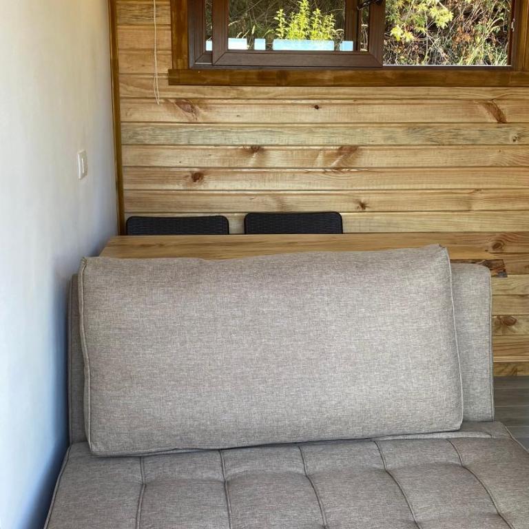 Tiny House Ranco Lauken - Apartamento de 1 dormitorio - 11