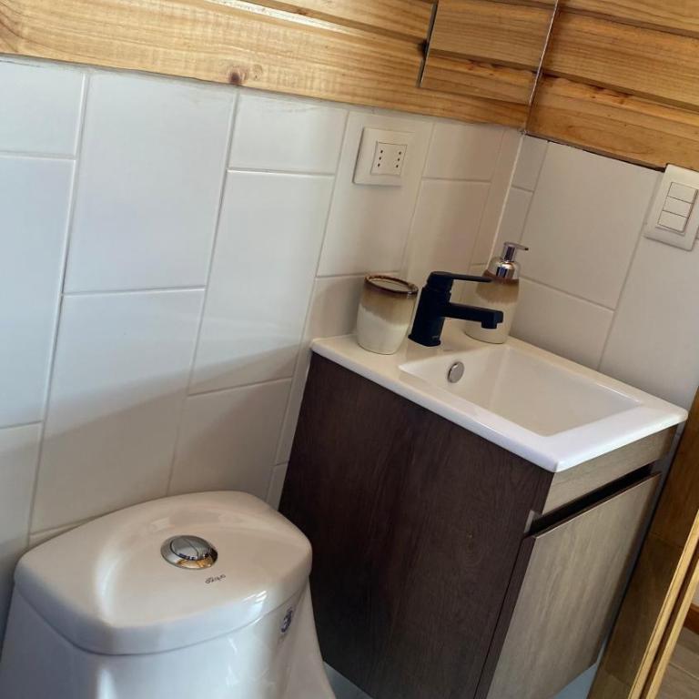 Tiny House Ranco Lauken - Apartamento de 1 dormitorio - 18