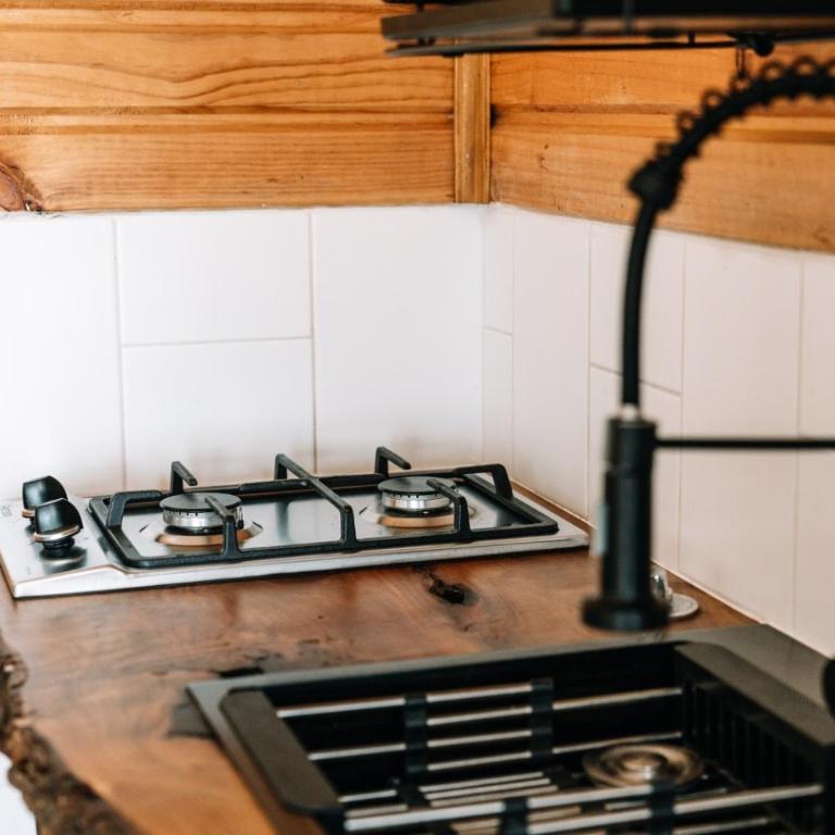 Tiny House Ranco Lauken - Apartamento de 1 dormitorio - 19