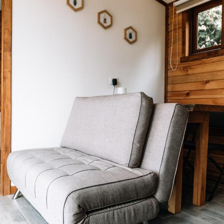 Tiny House Ranco Lauken - Apartamento de 1 dormitorio - 21