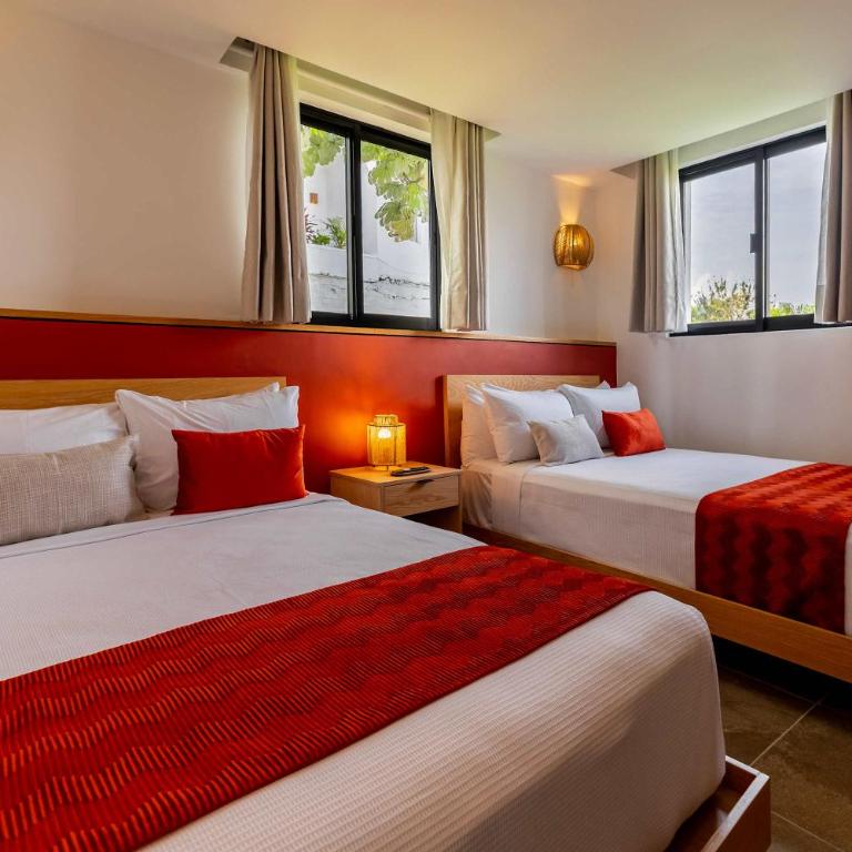 AC Studio Near Nightlife and Beach - Apartamento - 4