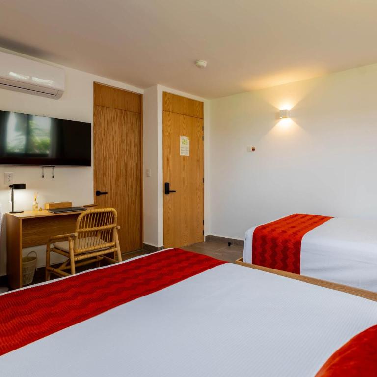 AC Studio Near Nightlife and Beach - Apartamento - 19