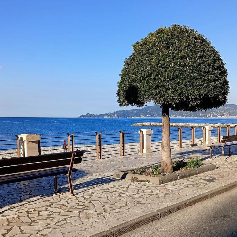 palazzo piazza roma - Appartamento con 2 Camere da Letto - 25